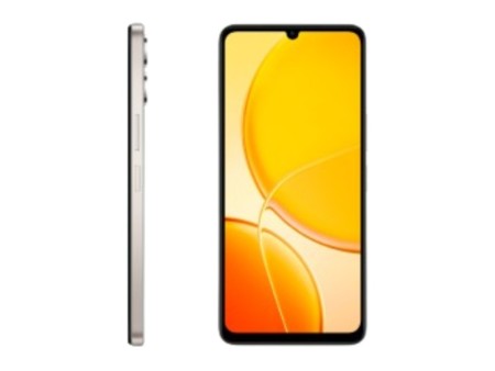 SMARTPHONE VIVO Y04 8GO 64GO - OR TITANE